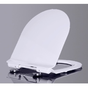 Крышка-сиденье с микролифтом OWL OWLC19-002 белая